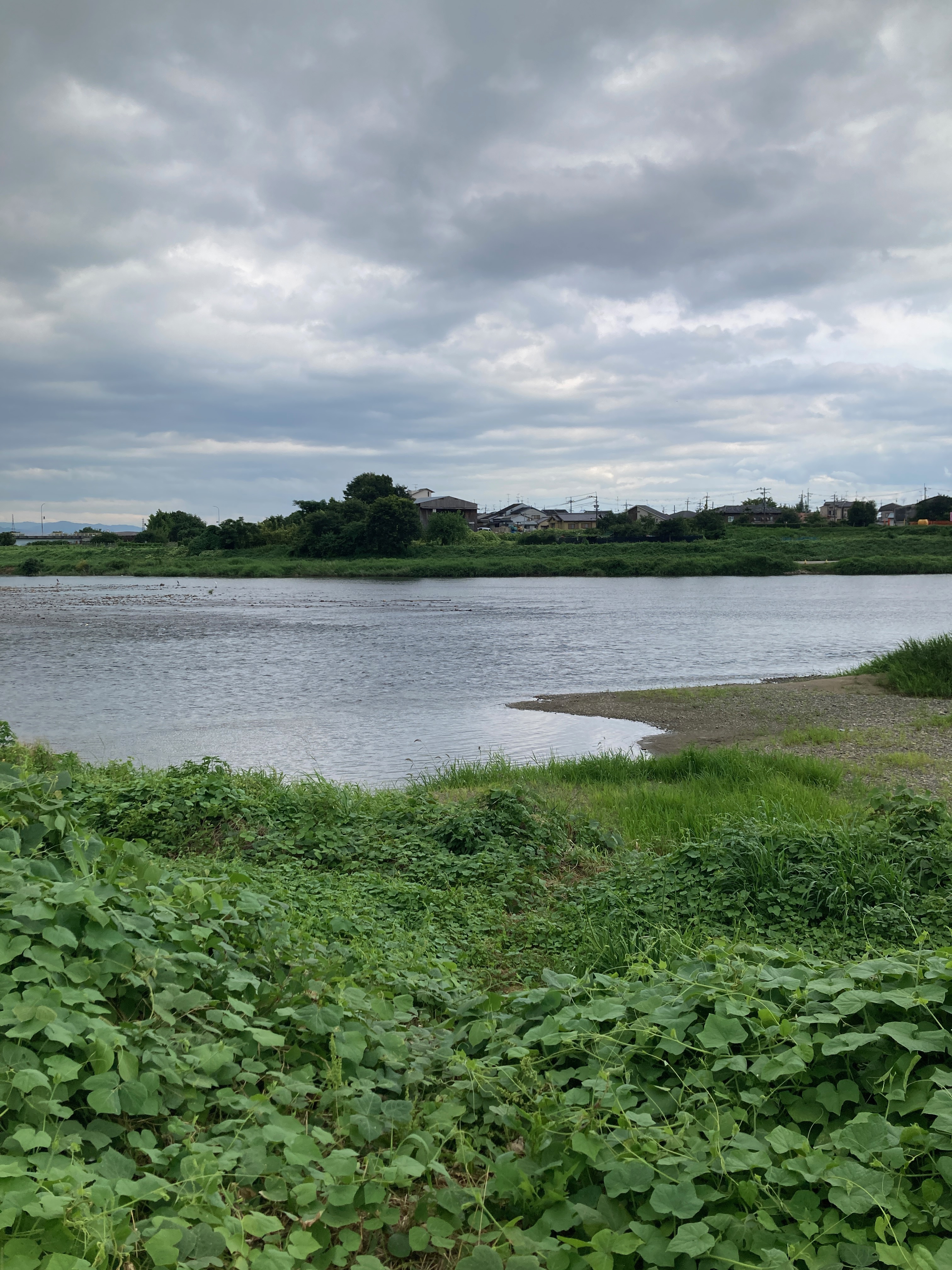 Burnout erkennen und heilen – Nervensystem erholen