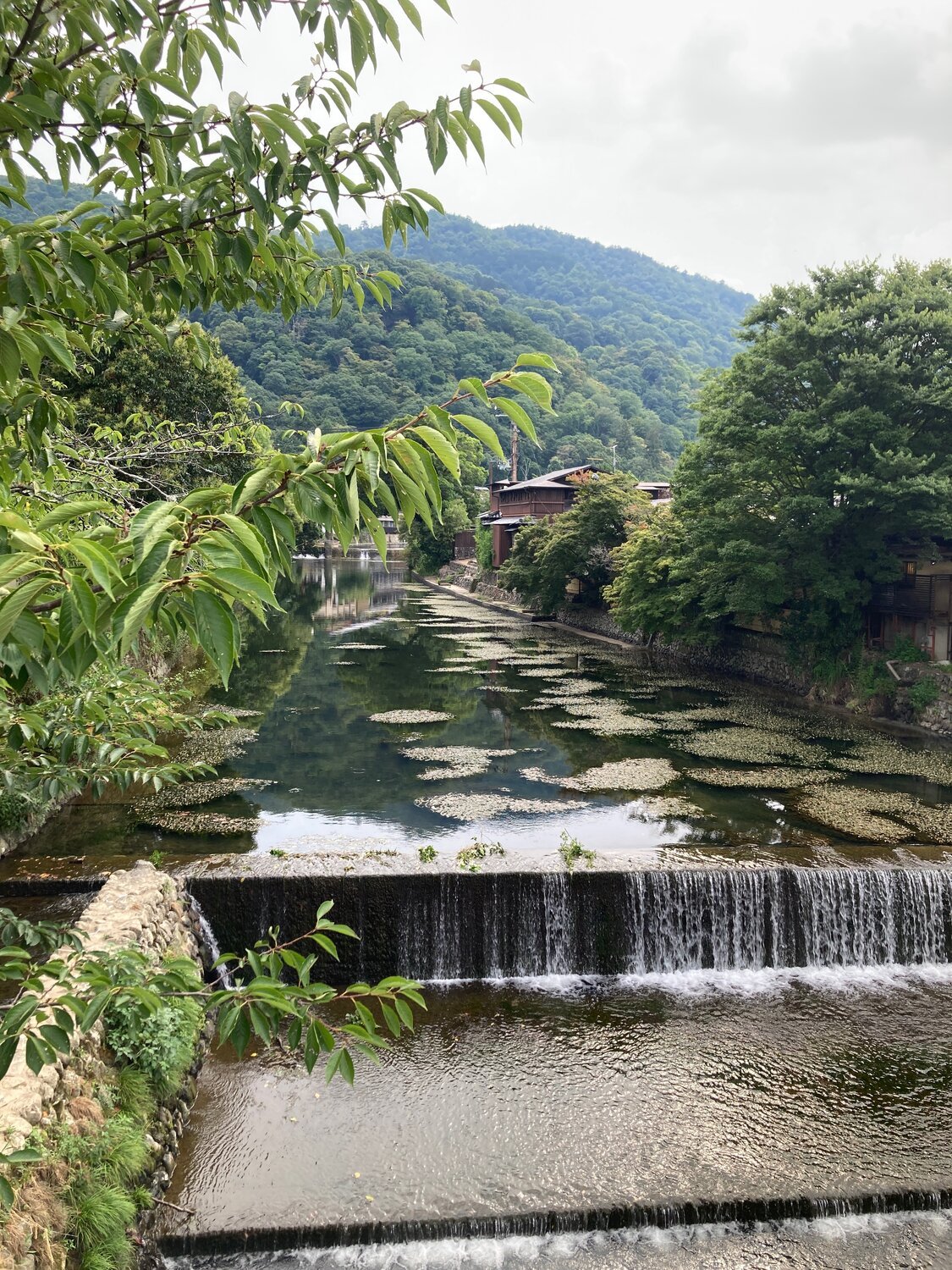 Intuition entwickeln - deine innere Stimme wieder hören