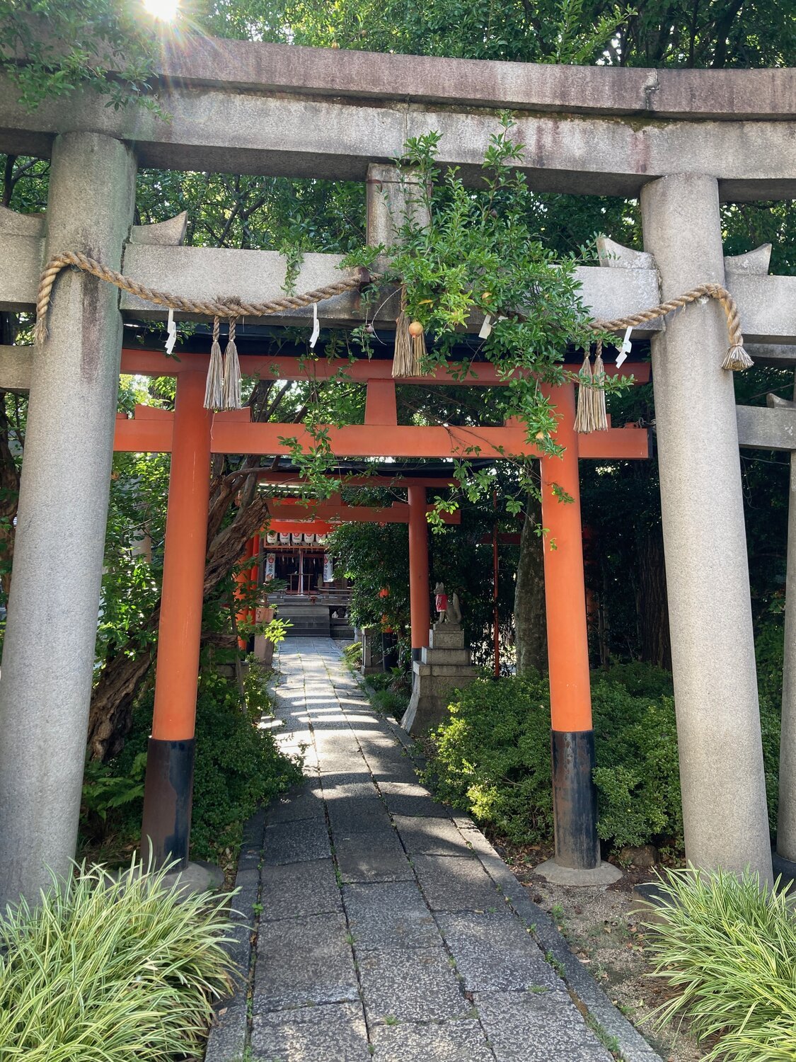 Was erwartet dich bei deiner ersten Remote Reiki-Session?