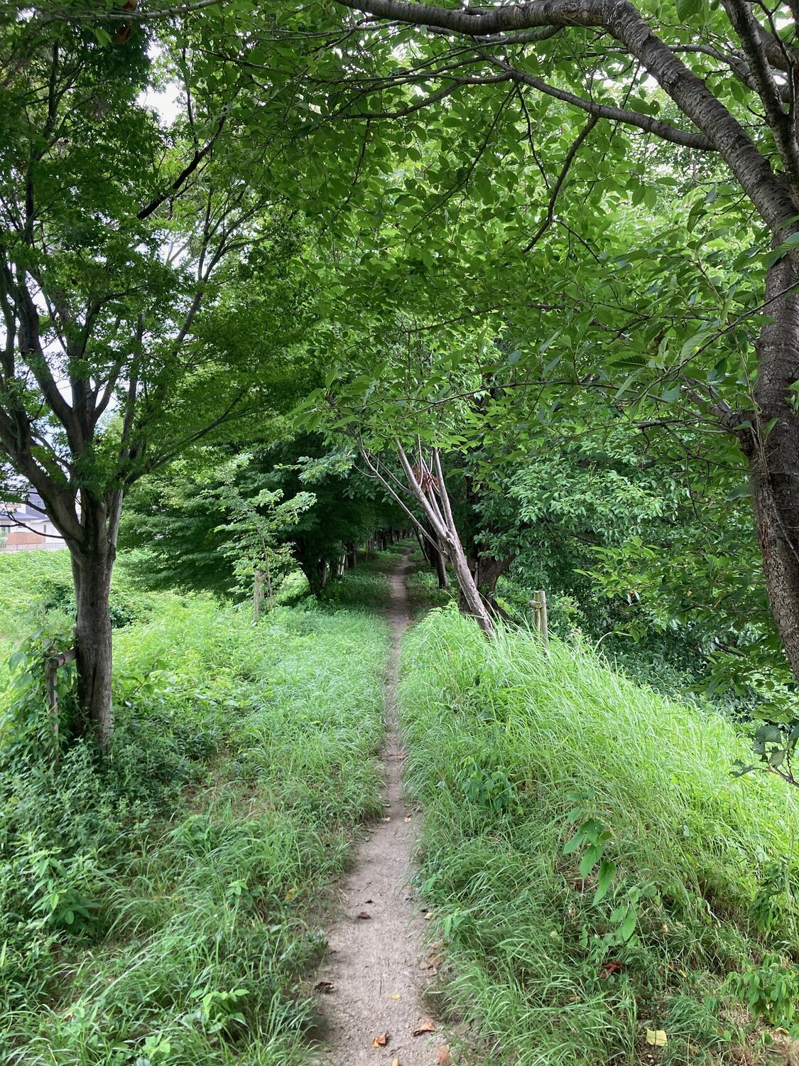 Dankbarkeitspraxis - wissenschaftlich fundierte Transformation