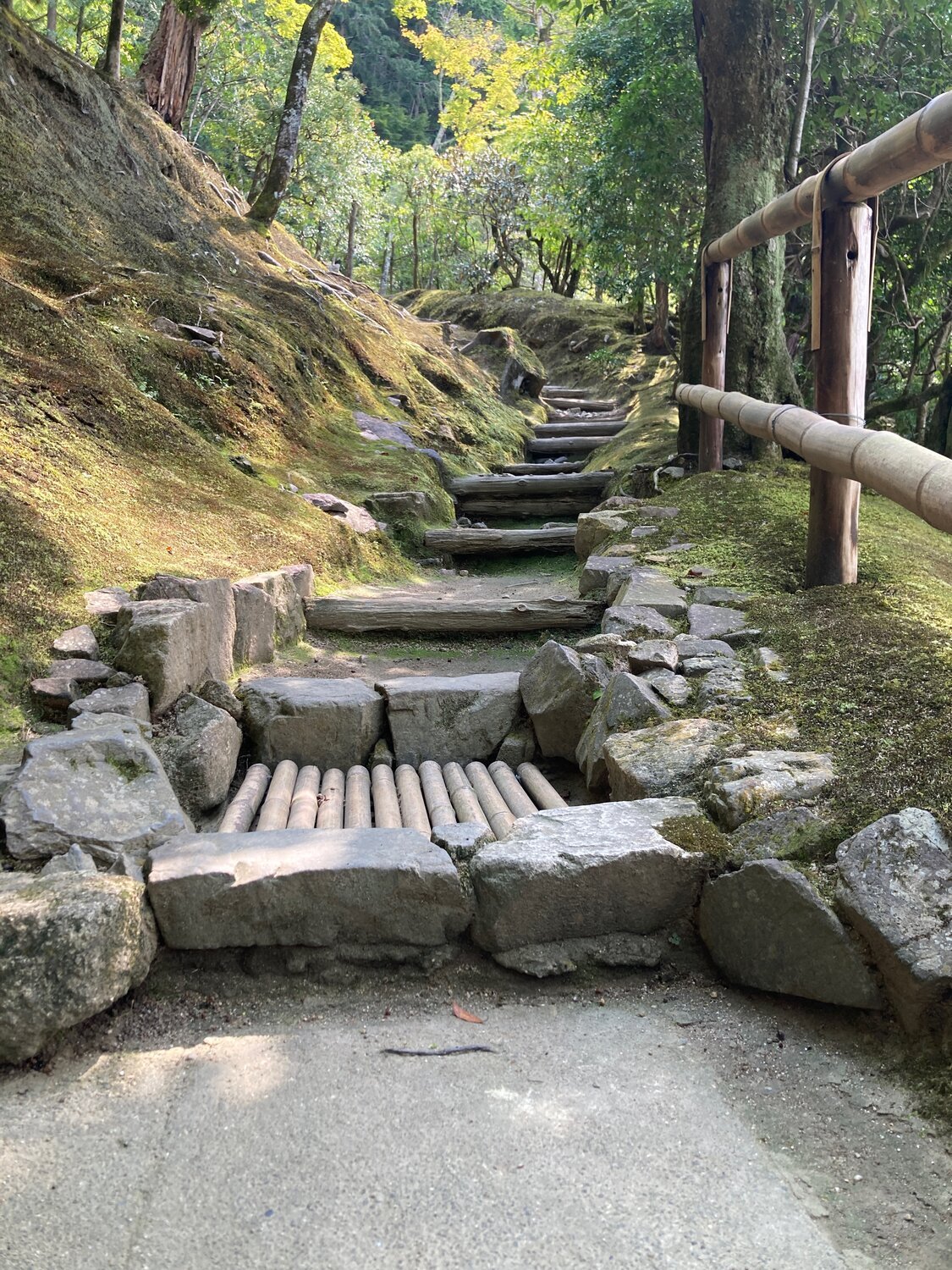 Wissenschaft der Meditation - Gehirnveränderungen durch Achtsamkeit