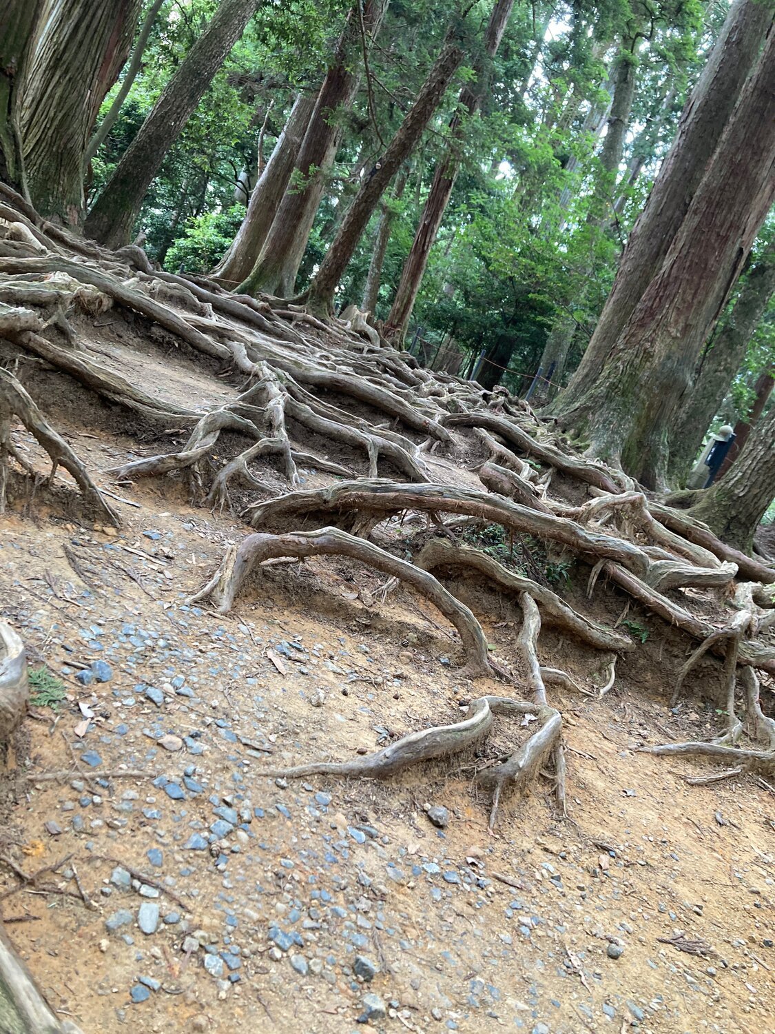 10 Reiki-Mythen, die endlich aufgeklärt werden müssen