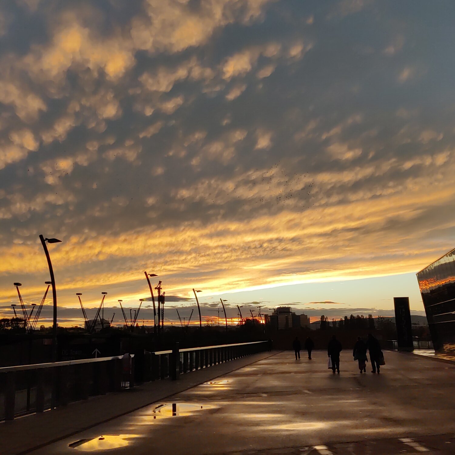 Ist Remote Reiki das Richtige für dich? Mach den Test