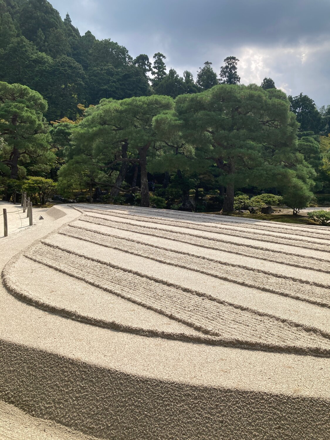 Selbstliebe vs. Narzissmus - der gesunde Weg zu dir selbst